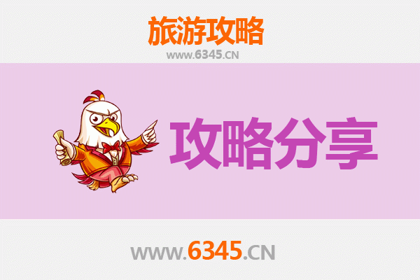 上海徐汇旅游攻略：跟团与自由行深度对比